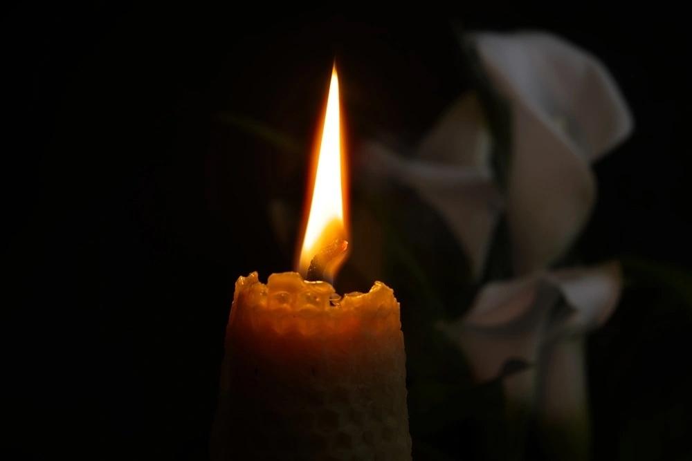 ?24 октября в Челябинской области объявлен днем
